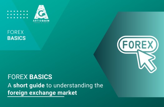 Forex basics: a short guide to understanding the foreign exchange market